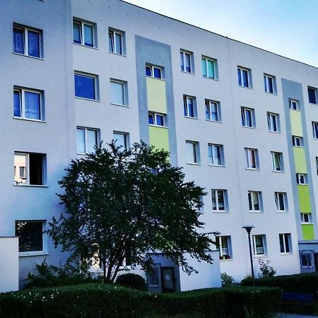 Apartament Bachusik Зелёна-Гура Экстерьер фото